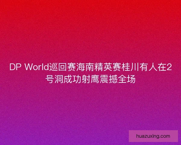 DP World巡回赛海南精英赛桂川有人在2号洞成功射鹰震撼全场 DP World巡回赛海南精英赛桂川有人在2号洞成功射鹰震撼全场