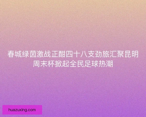 春城绿茵激战正酣四十八支劲旅汇聚昆明周末杯掀起全民足球热潮